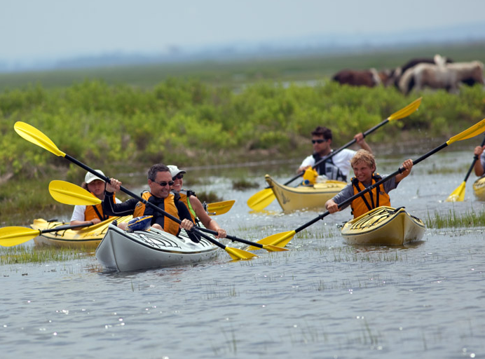 Assateague Island National Seashore 02.png